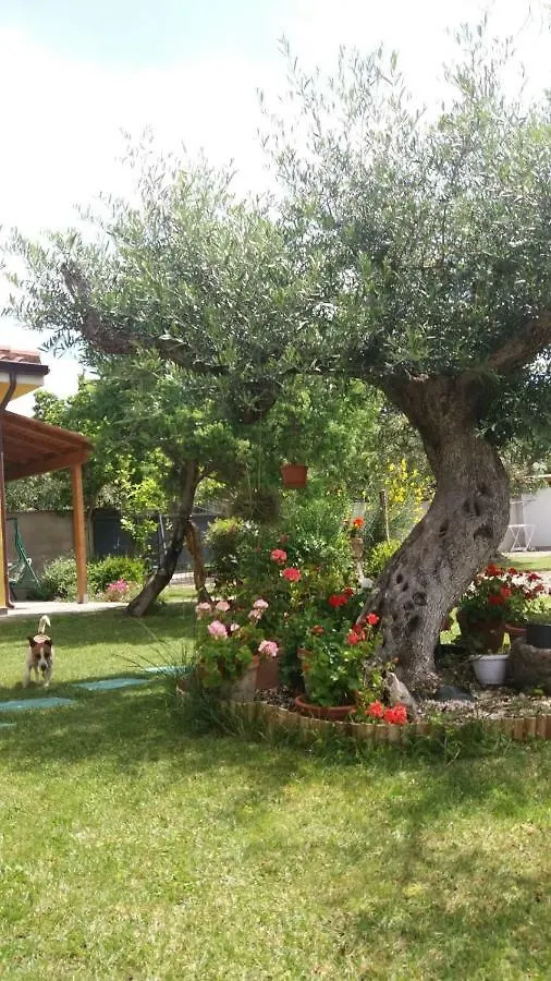 Acasamia Villa Oristano
